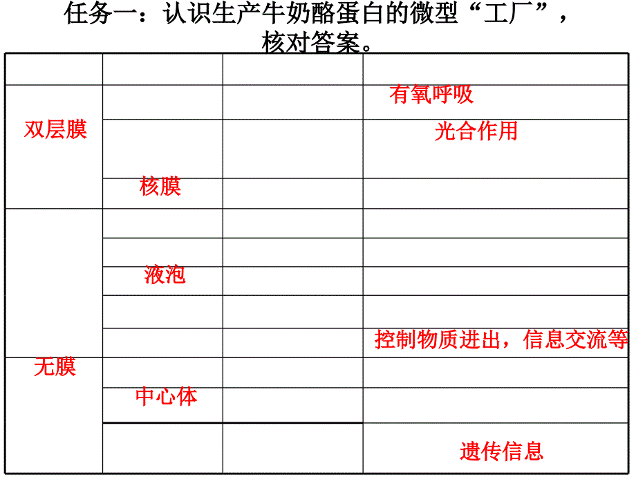 人教版高中生物必修1第三章细胞基本结构复习(共14张PPT)_第4页