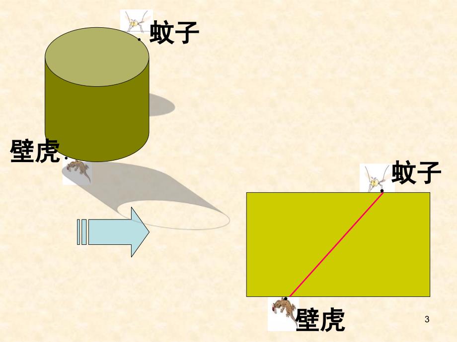 立体图形展开图使用_第3页