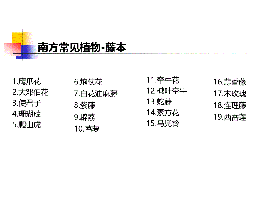 南方常见植物藤本_第1页