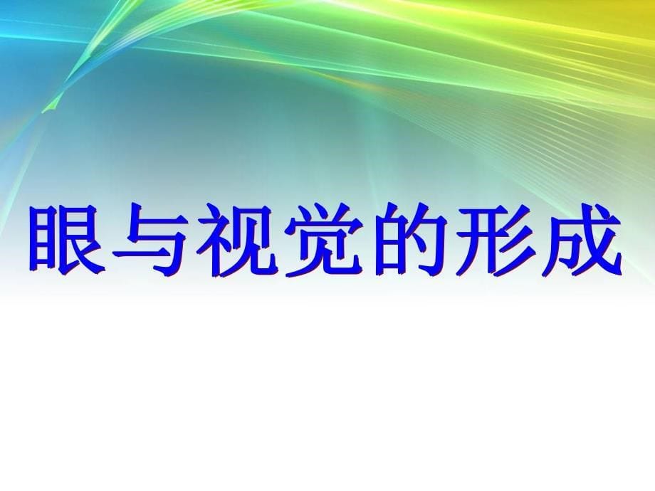 人体对周围界的感知初中生物_第5页