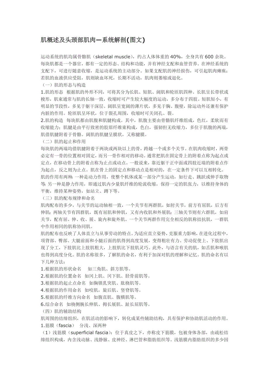 大体解剖-肌概述及头颈部肌肉_第1页