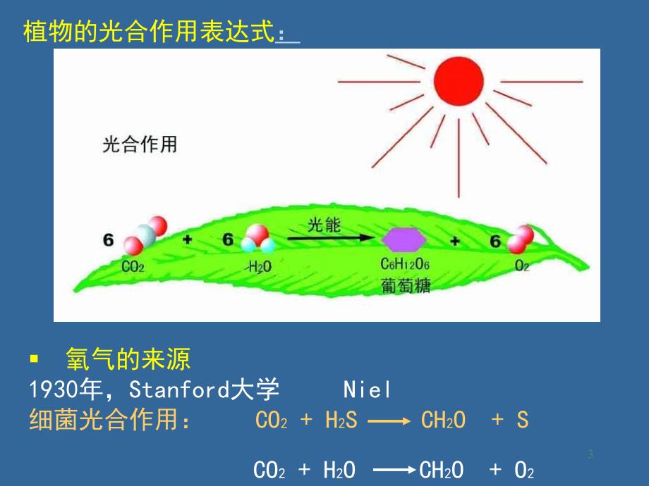 普通生物学07光合PPT课件_第3页