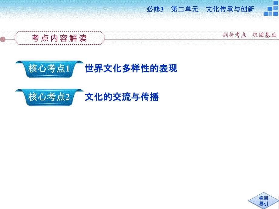 高三政治大一轮复习课件：必修3第2单元第3课文化的多样性与文化传播[来源：学优高考网2722304]_第5页