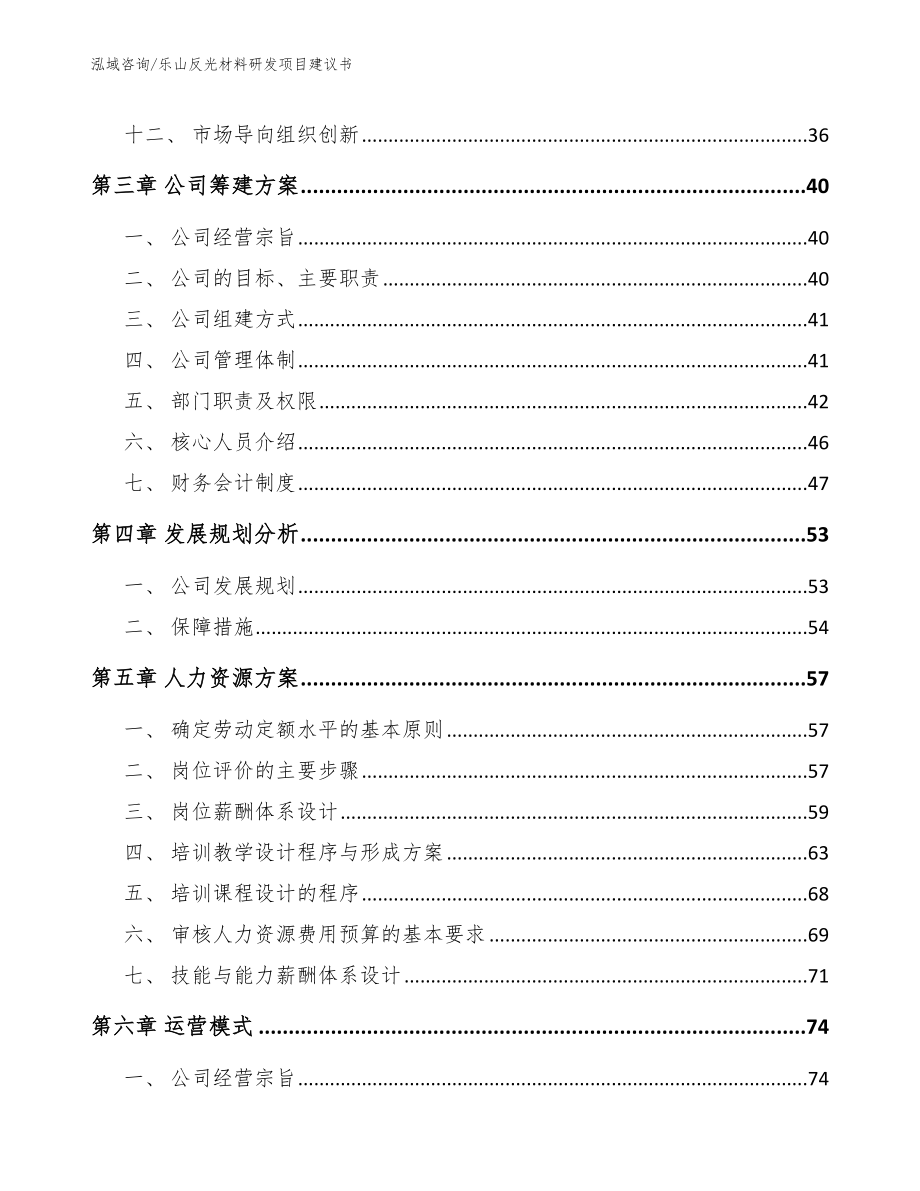 乐山反光材料研发项目建议书_第4页