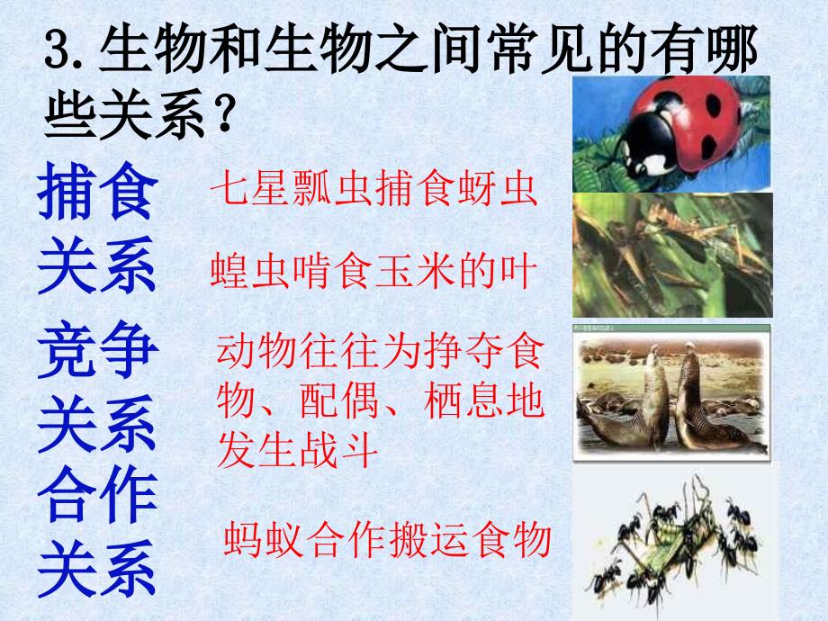 生物对环境的适应和影响.ppt_第3页