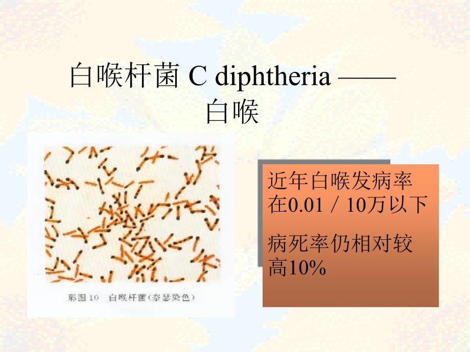 医学课件白喉杆菌Cdiphtheria白喉_第1页