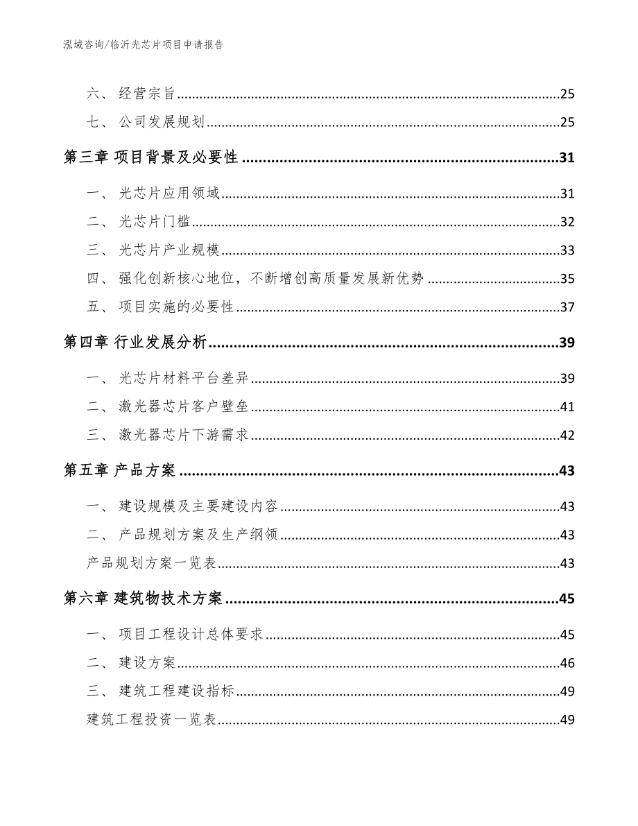 临沂光芯片项目申请报告_模板_第2页