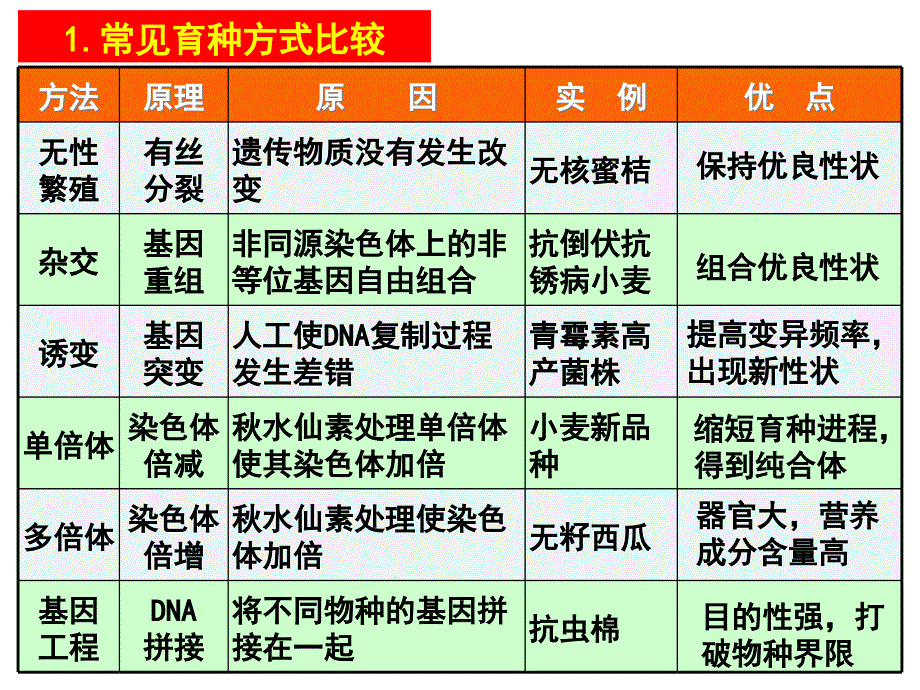 生物基因工程_第3页