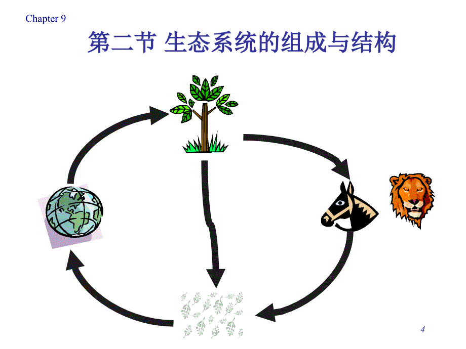 第09章生态系统的一般特征_第4页