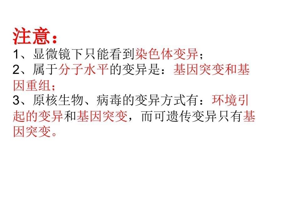 基因突变和基因重组使用ppt课件_第5页