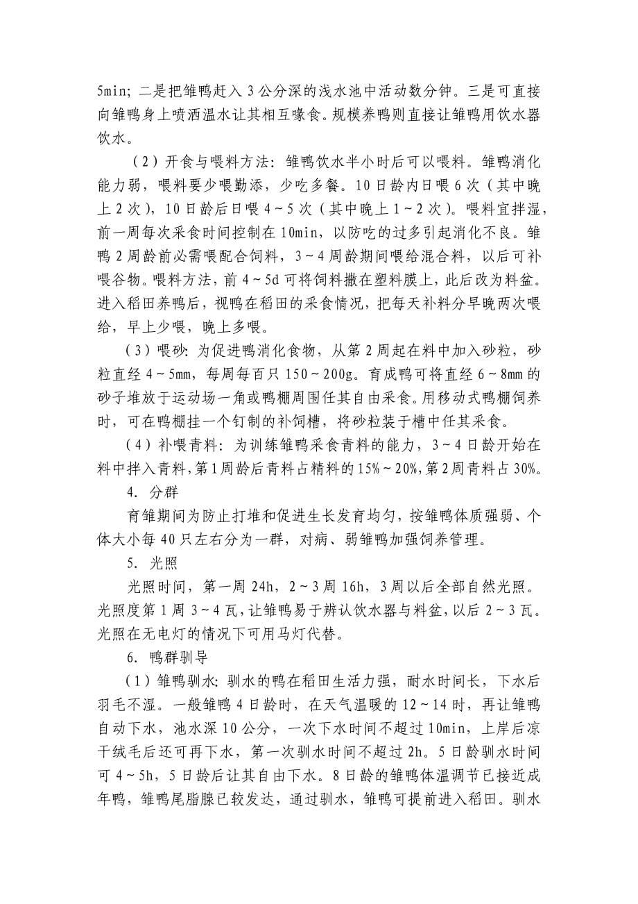 稻鸭共育的养鸭技术_第5页