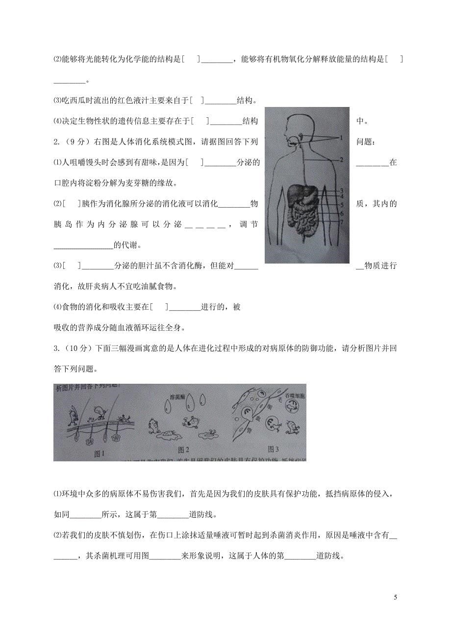 2010年山东聊城初中学业考试生物试1_第5页