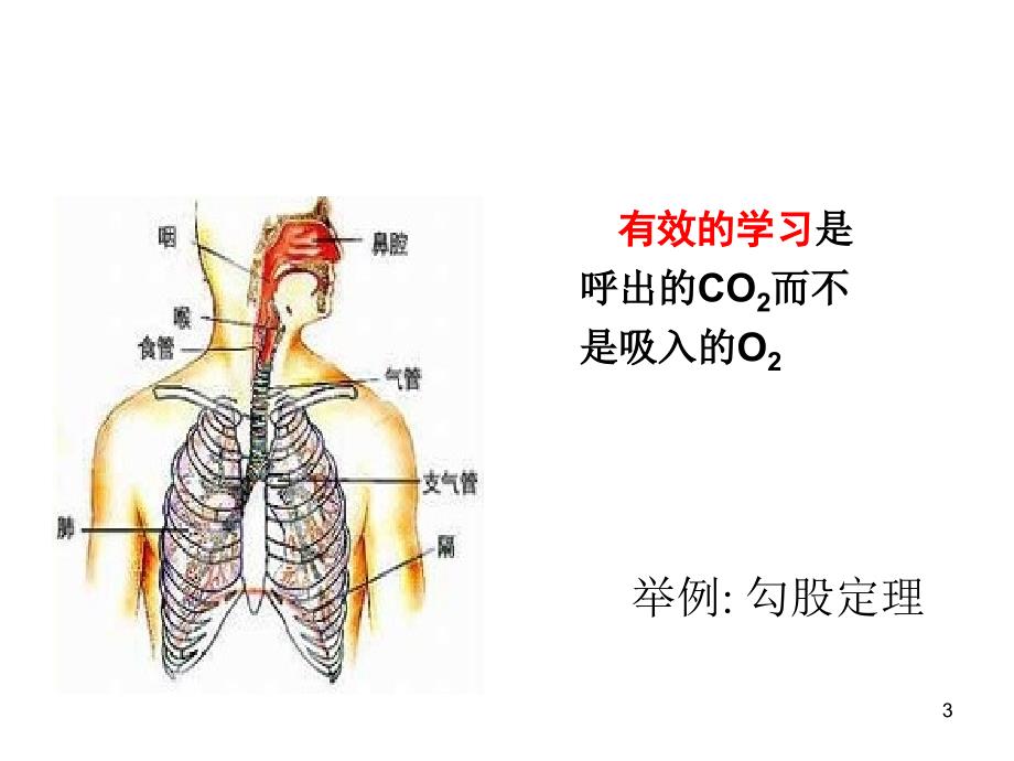 职业教育教学课程改革新发展ppt课件.ppt_第3页