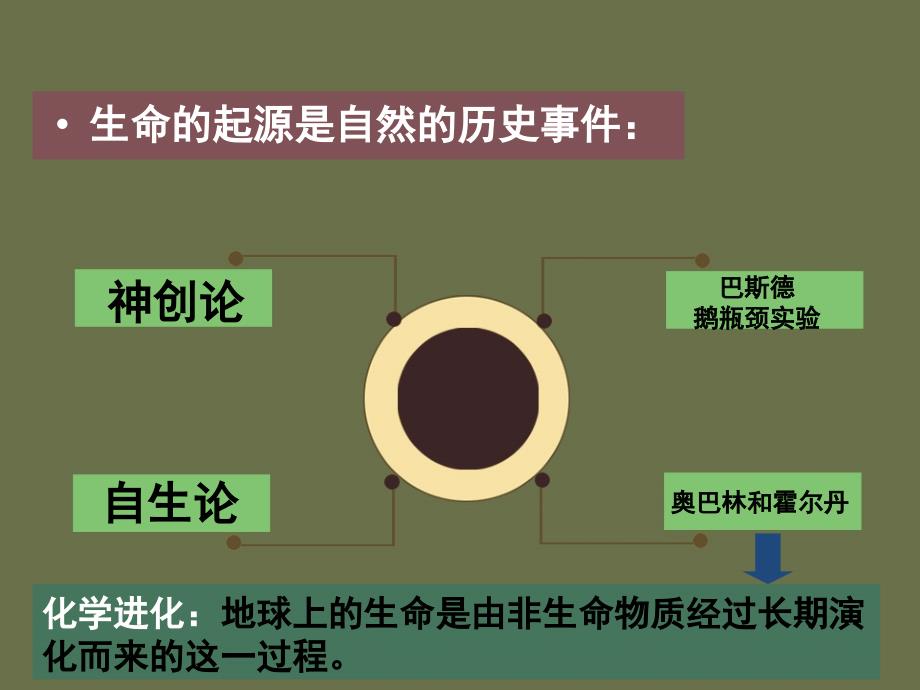 生物多样性的进化课件_第4页