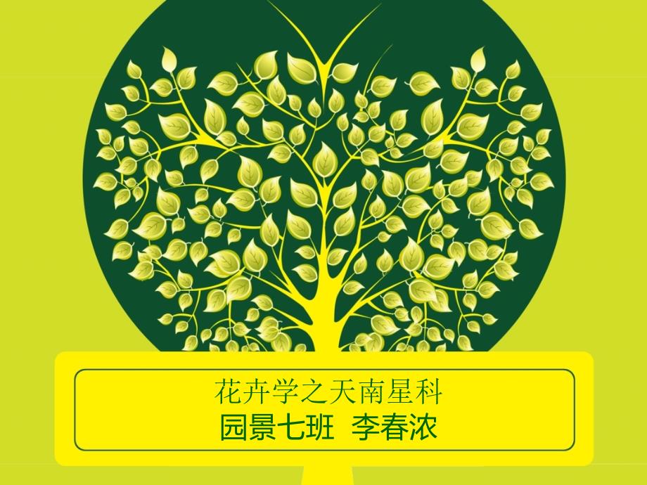 花卉植物大全_第1页