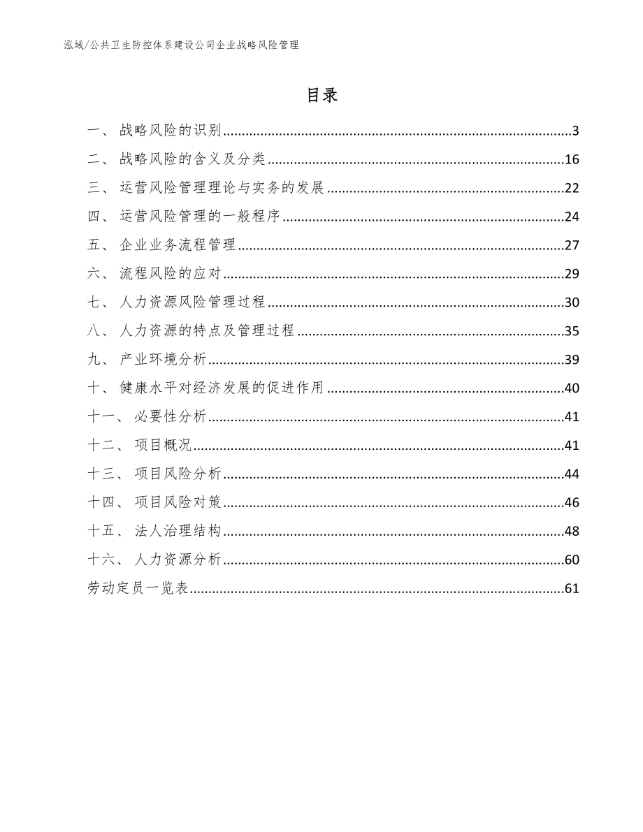 公共卫生防控体系建设公司企业战略风险管理_第2页