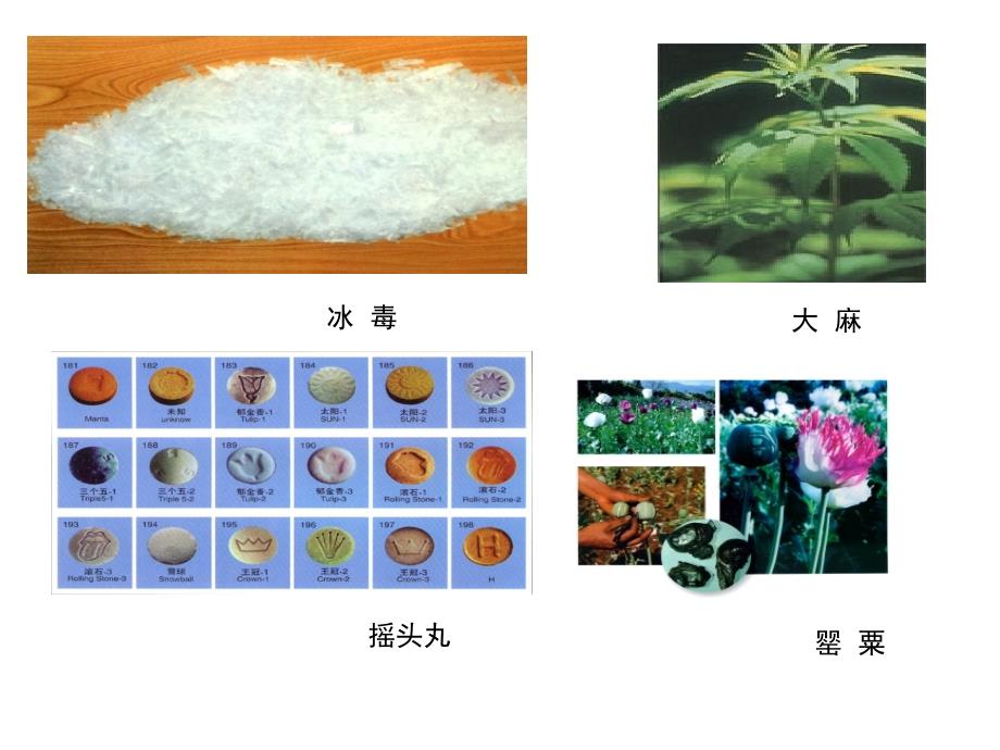 特殊管理的药品.课件_第2页