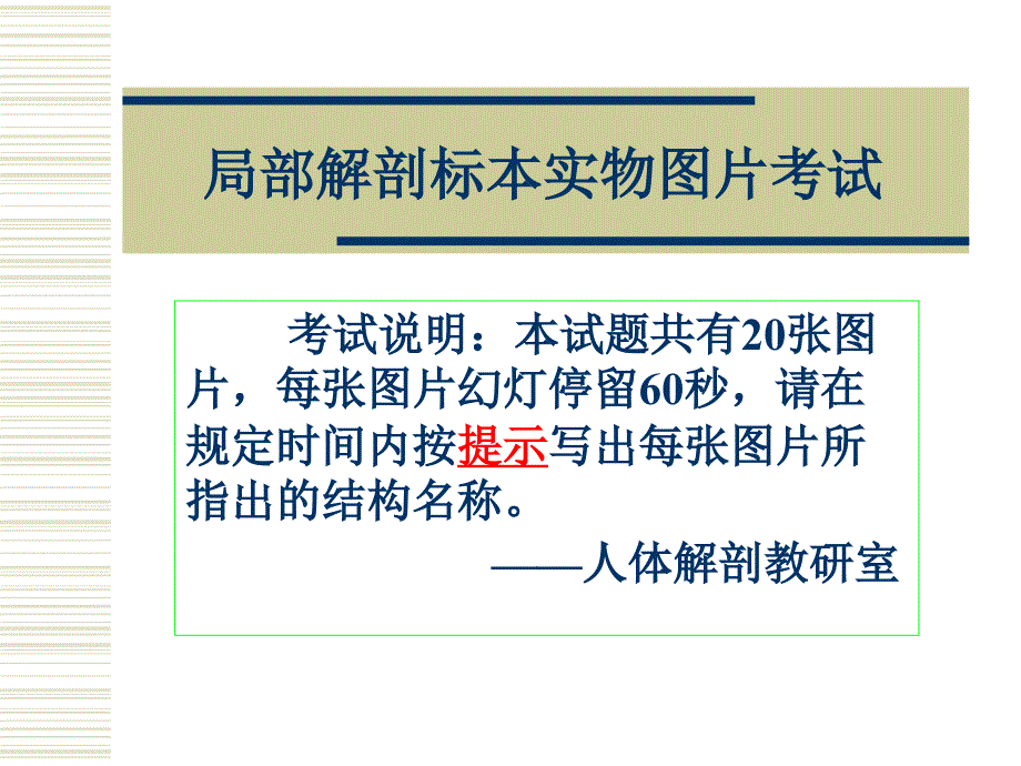 局部解剖标本实物图片考试_第1页