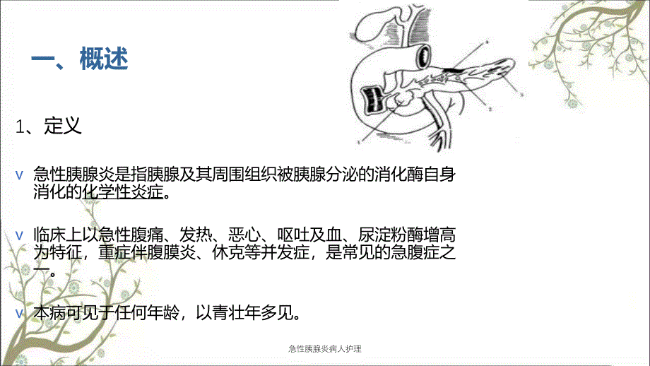 急性胰腺炎病人护理课件_第2页