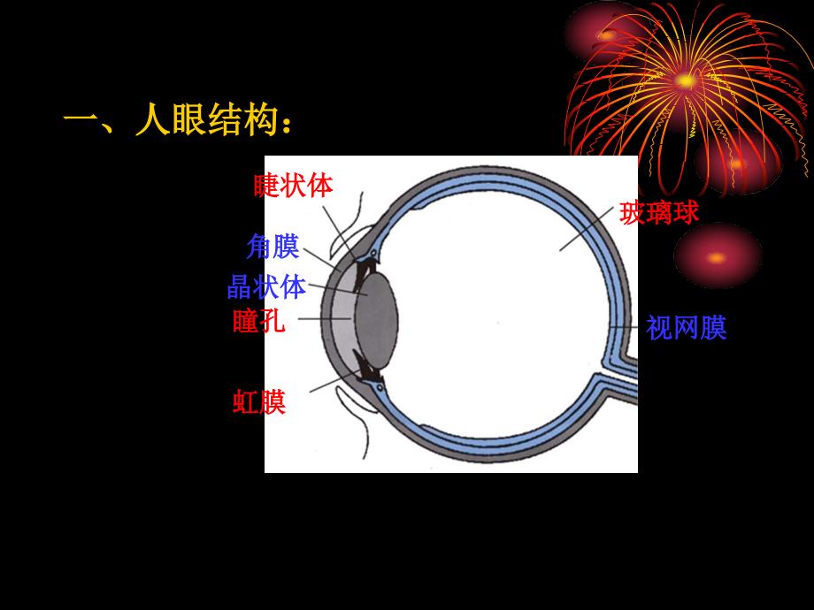 八年级物理 四、眼睛和眼镜课件 人教版_第3页