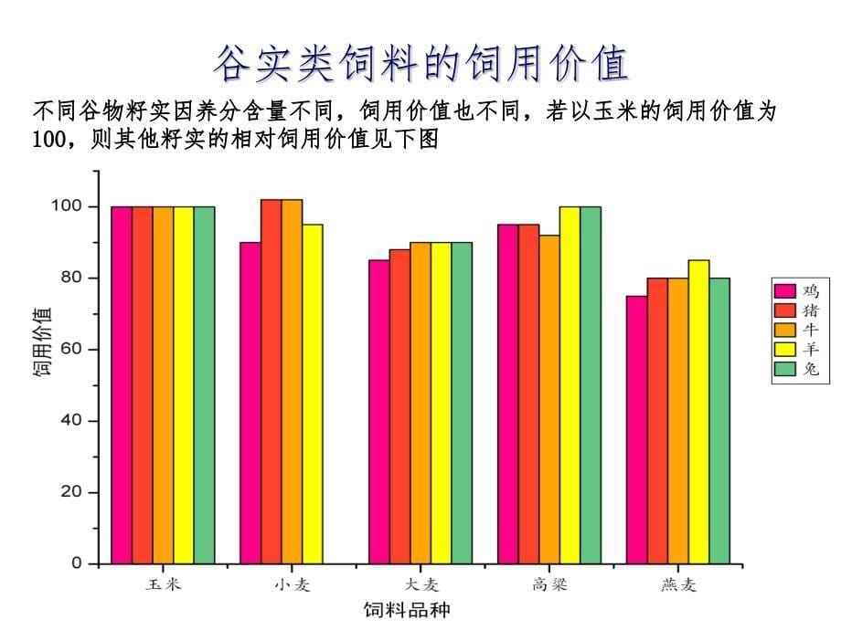 能量饲料课件_第5页