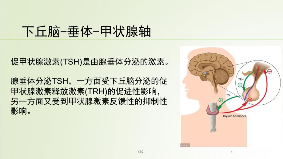 甲状腺疾病治疗中的TSH控制_第4页