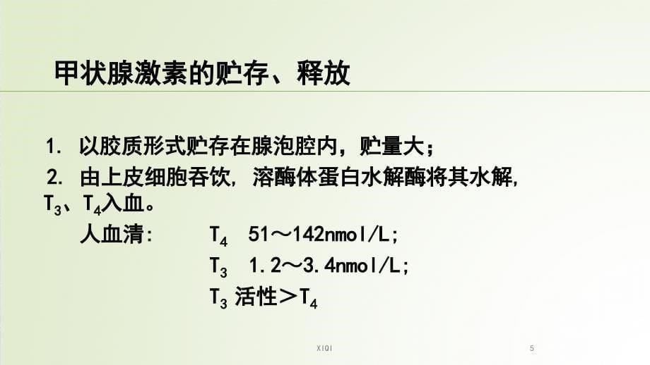 甲状腺疾病治疗中的TSH控制_第5页