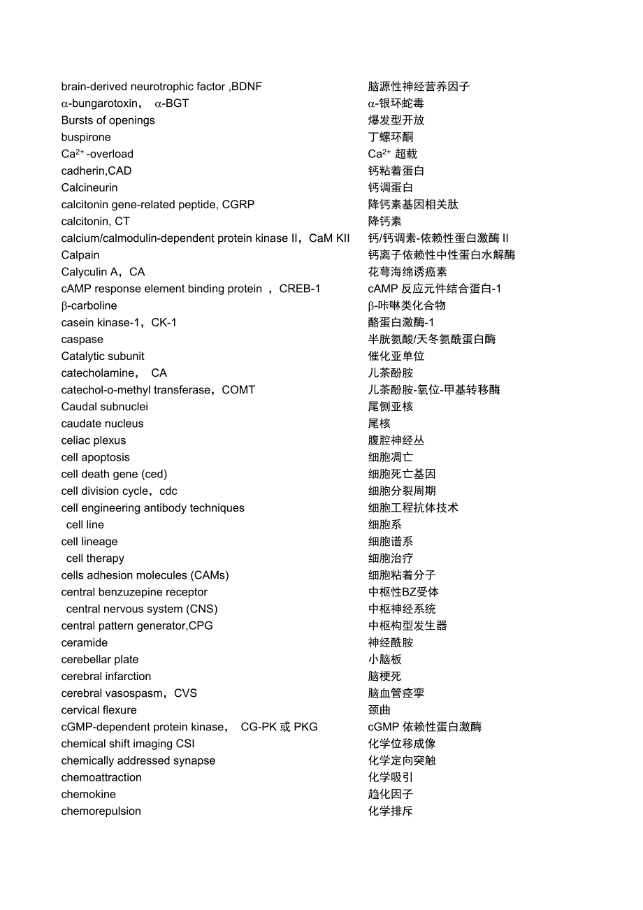 神经科学中英文词汇_第3页