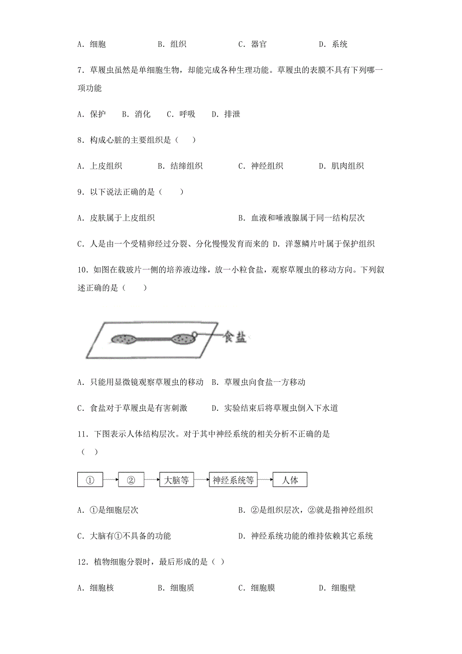 人教版生物七年级上第二单元第二章《细胞怎样构成生物体》测试题(含答案)_第2页