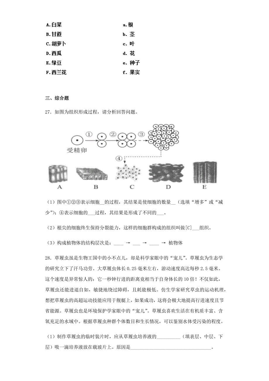 人教版生物七年级上第二单元第二章《细胞怎样构成生物体》测试题(含答案)_第5页