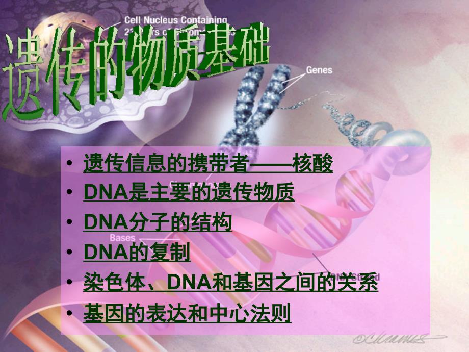 高一生物必修二复习课件遗传的物质基础新课标_第1页