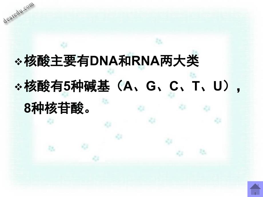 高一生物必修二复习课件遗传的物质基础新课标_第3页