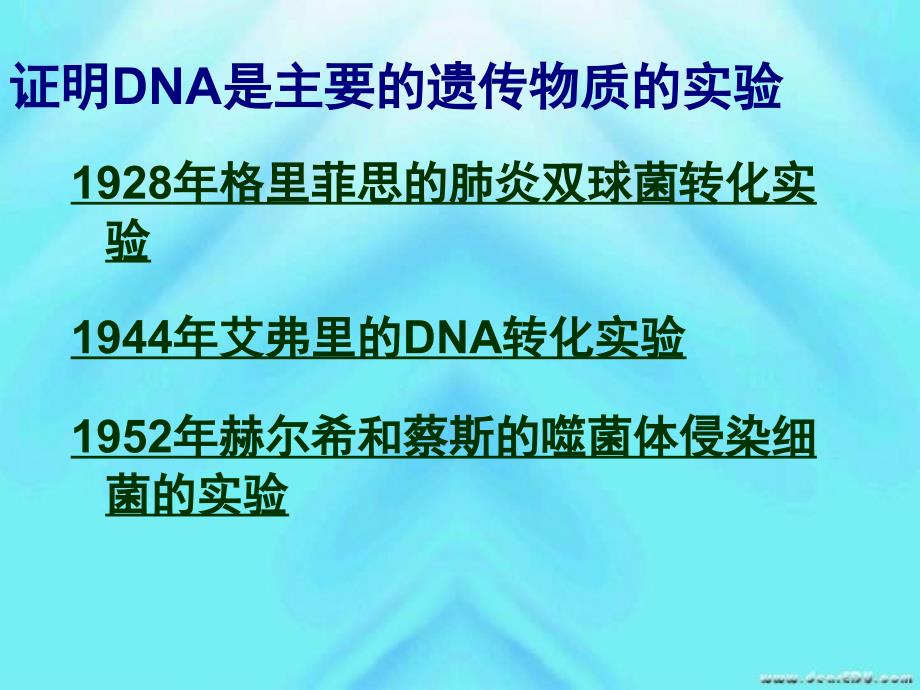 高一生物必修二复习课件遗传的物质基础新课标_第4页