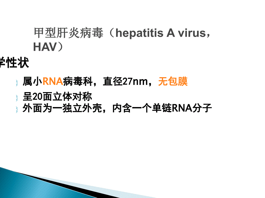 肝炎病毒相关知识讲解_第4页