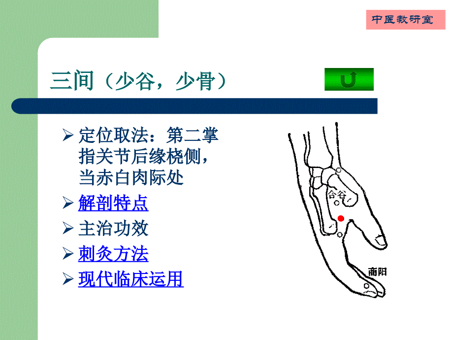 针灸学4手阳明大肠经_第4页