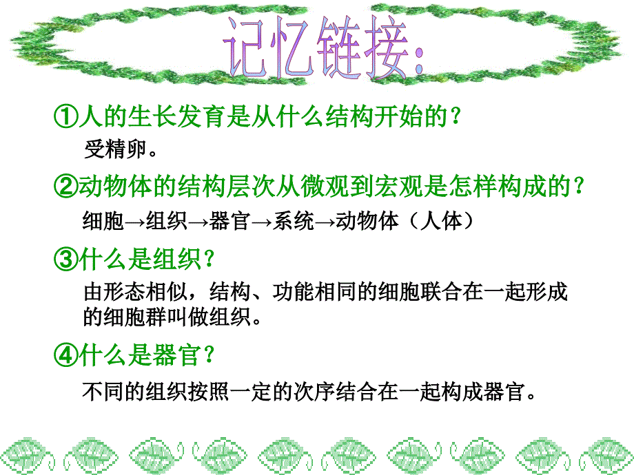 植物体的结构和层次_第1页