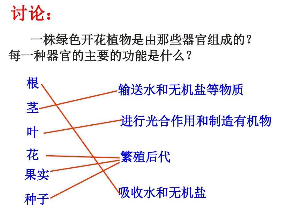 植物体的结构和层次_第5页