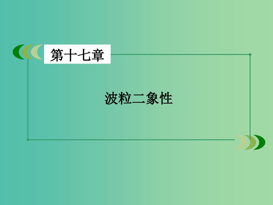 高中物理 第17章 第3节 粒子的波动性课件 新人教版选修3-5.ppt_第2页