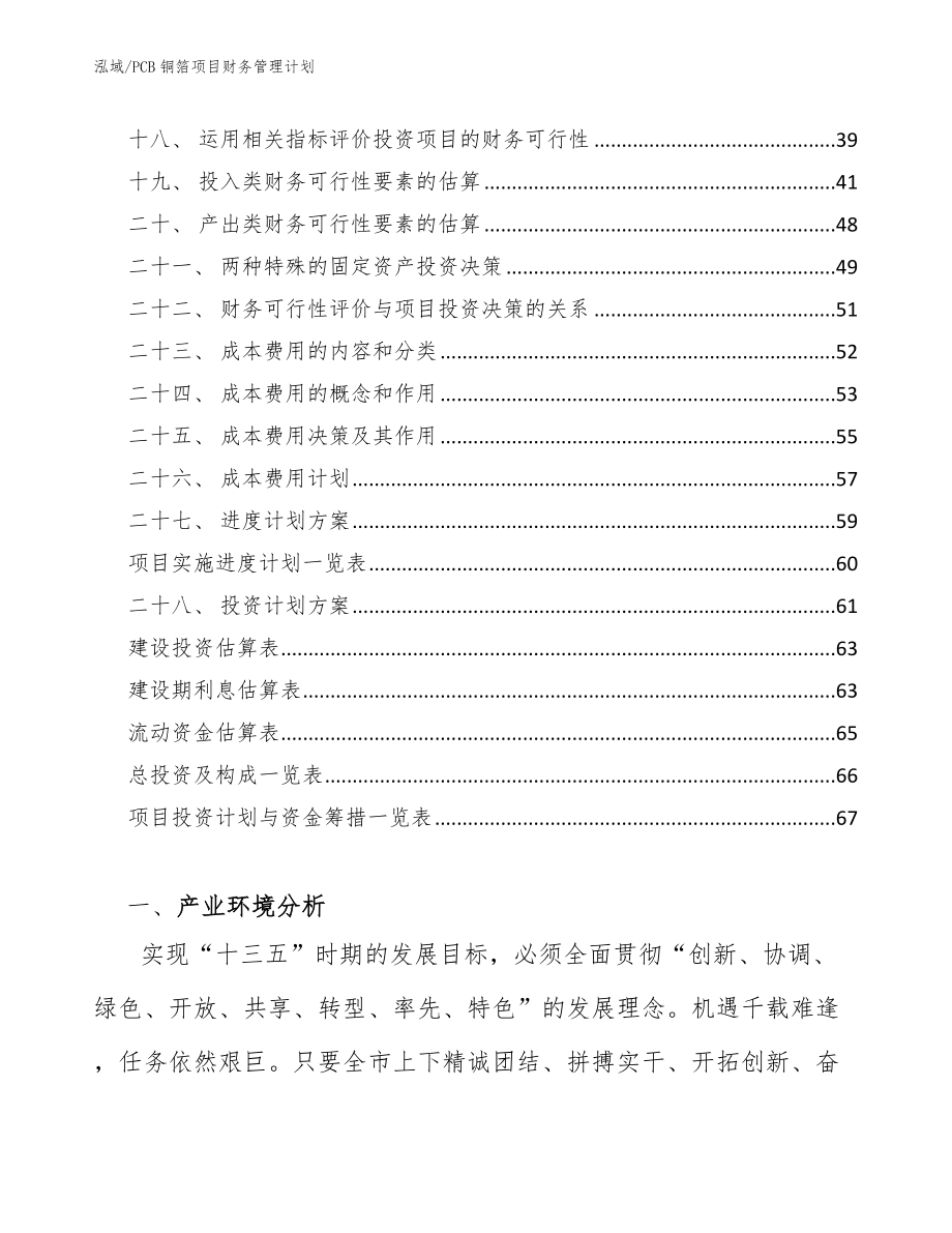 PCB铜箔项目财务管理计划_第2页