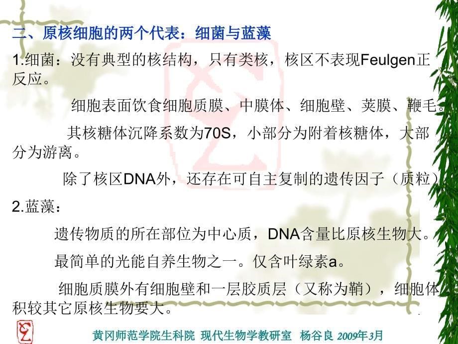 细胞生物学进展课件_第5页