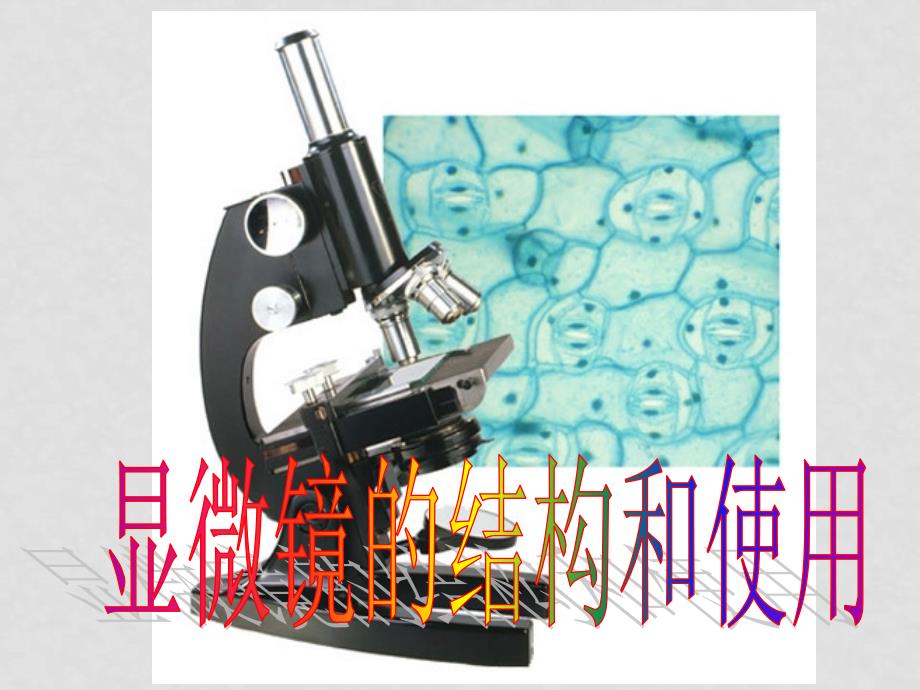 七年级生物上：第一单元第二章第一节 显微镜的结构和使用课件（济南版）_第1页