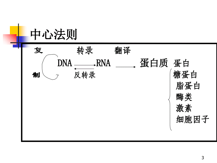 临检培训基因扩增技术在遗传病基因诊断中的应用临检培训班参考PPT_第3页