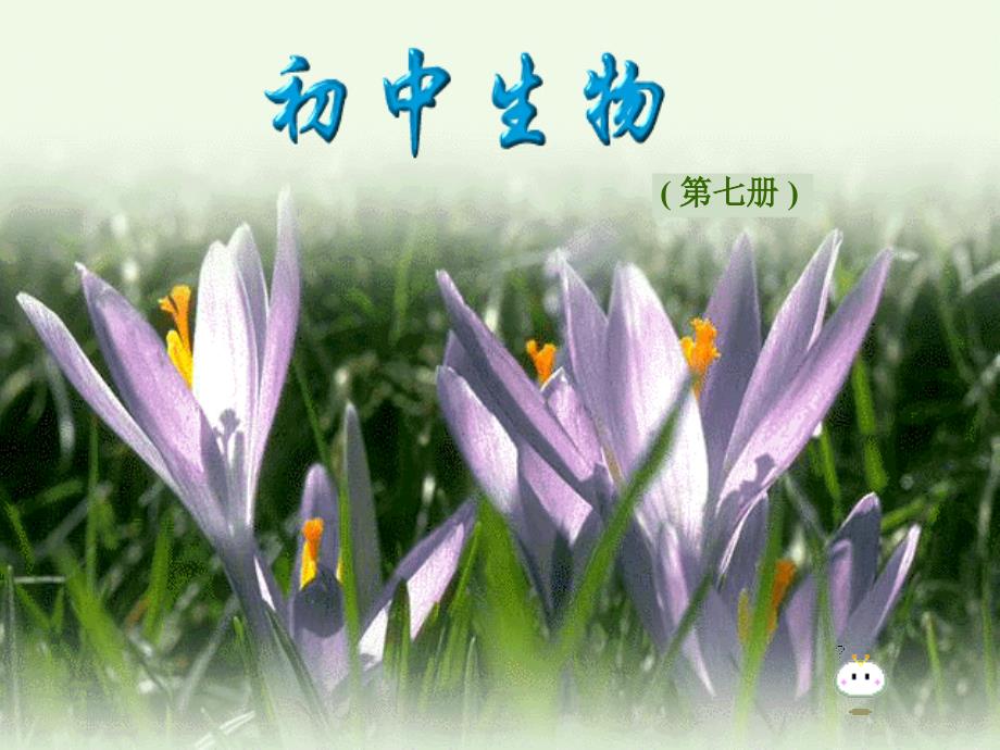 广西柳州市第十四中学七年级生物上册《开花和结果》课件 新人教版_第1页