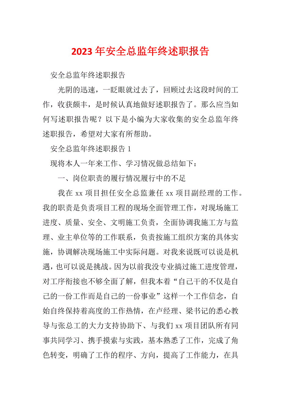 2023年安全总监年终述职报告_第1页