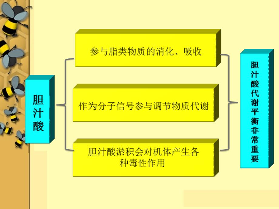 胆汁酸受体FXR与胆汁酸代谢ppt课件_第4页