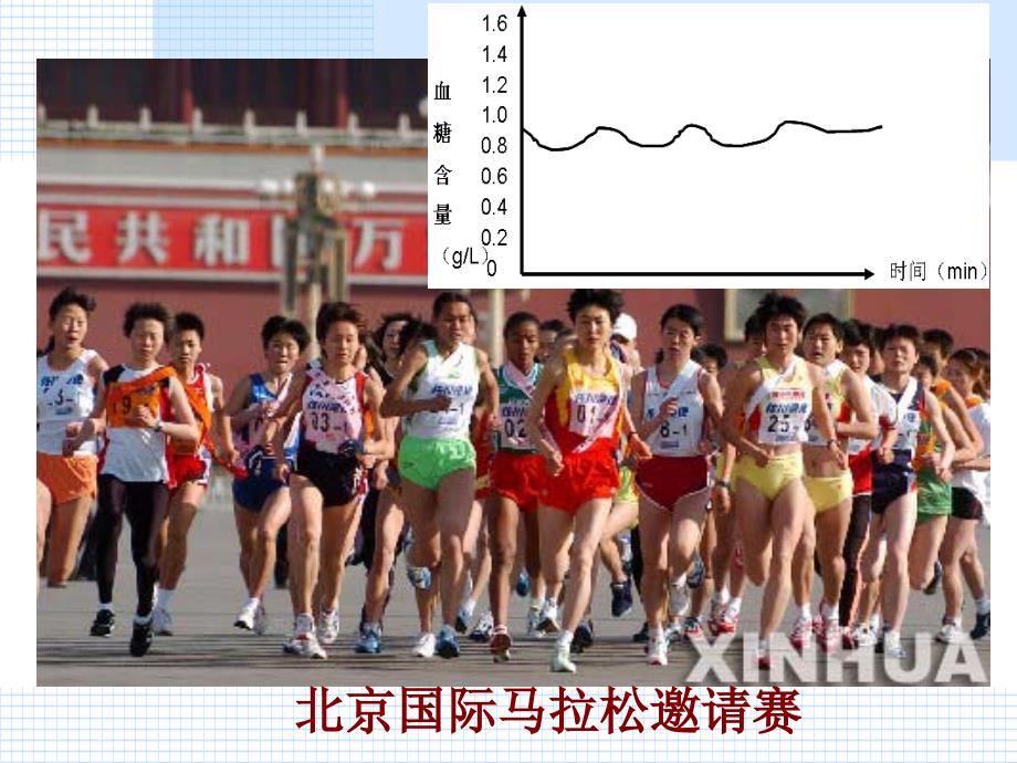 胰岛素和胰高血糖素课件_第3页