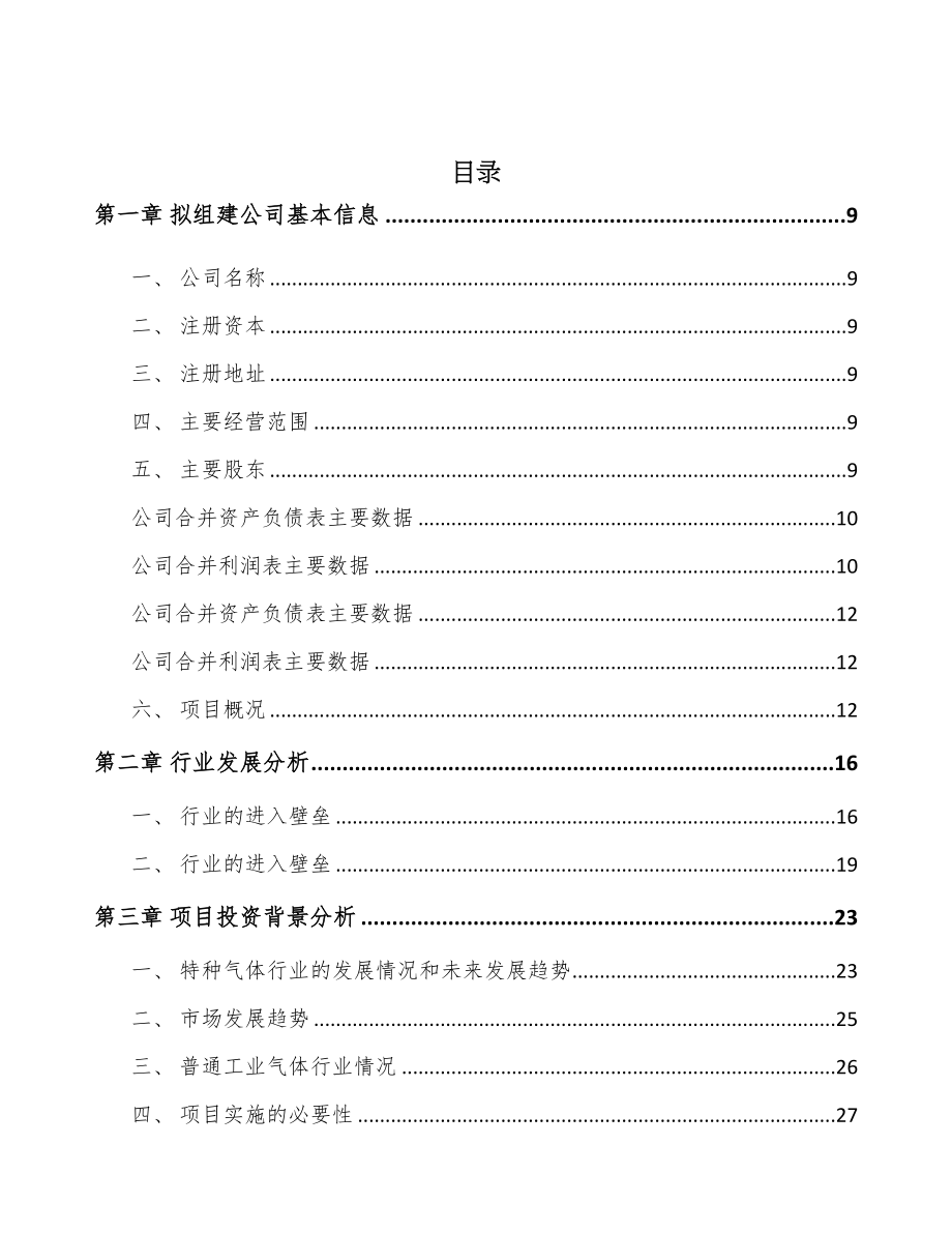 合肥关于成立特种气体公司可行性报告(DOC 96页)_第2页