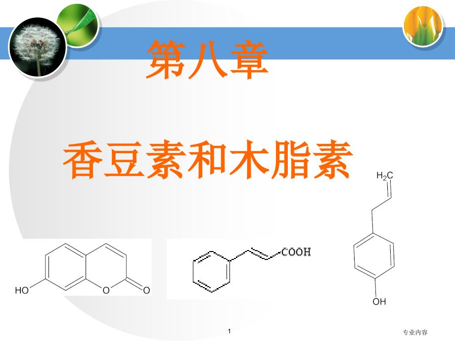 香豆素与木脂素荟萃材料_第1页