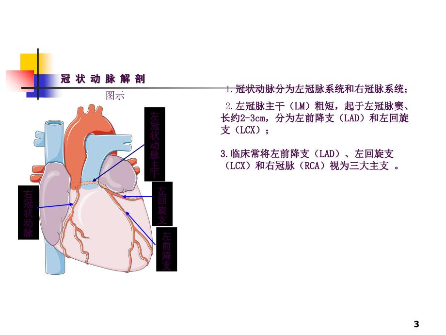 心肌梗死3ppt课件_第3页