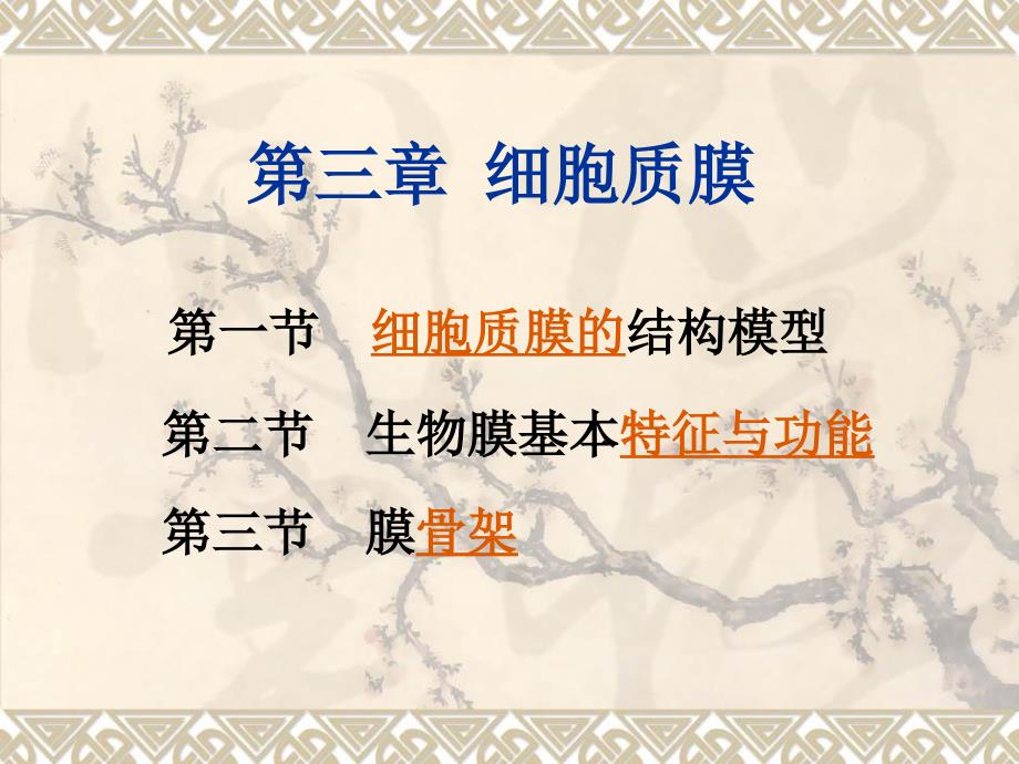 细胞膜与细胞表面_第1页